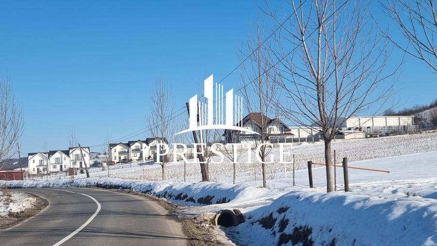 Teren agricol extravilan de 6695 mp, în Șura Mare