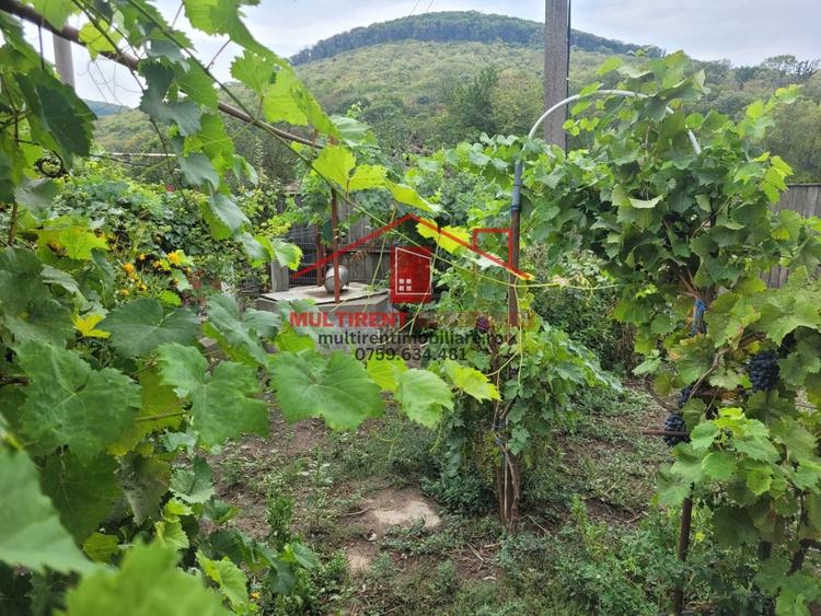 Casă individuală cu 3 camere cu Teren 2663 Mp în Telița