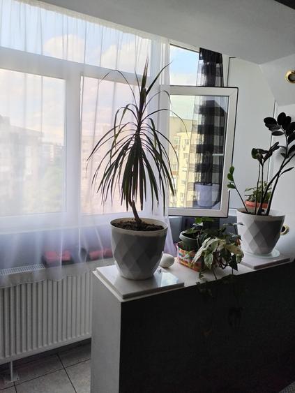 Apartament cu 3 camere decomandat în Drumul Taberei