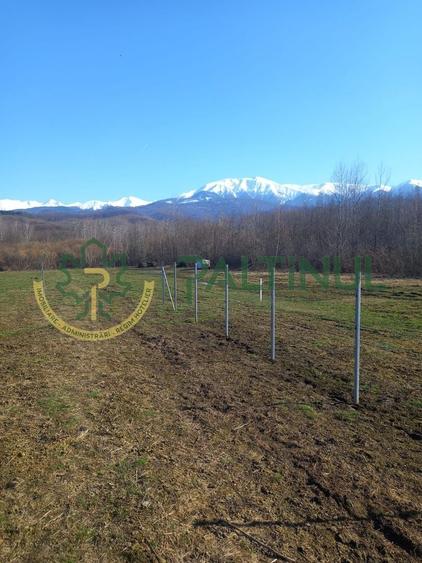 Teren agricol extravilan de 1737 mp, în Racovița