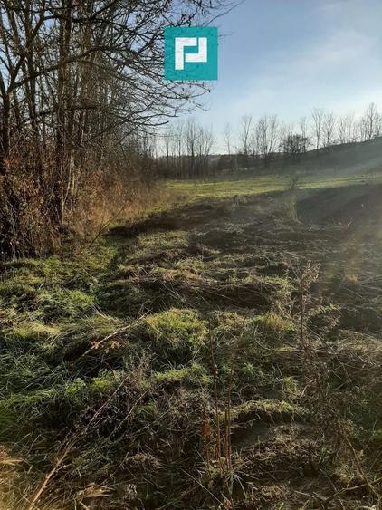 Teren agricol intravilan de 1260 mp, în Ususău