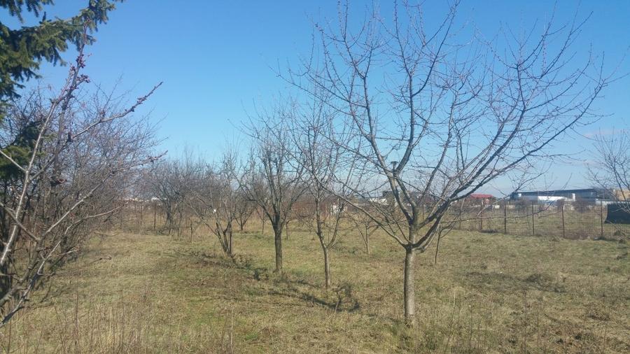 Teren Construcții intravilan de 900 mp, în Noua
