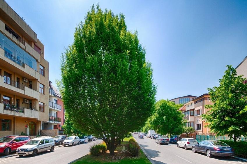 Birou, de 136 mp, în Domenii