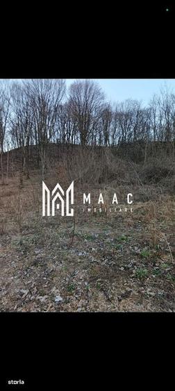 Spațiu comercial, în Bujoreni