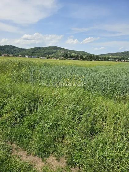 Teren intravilan 2600 mp