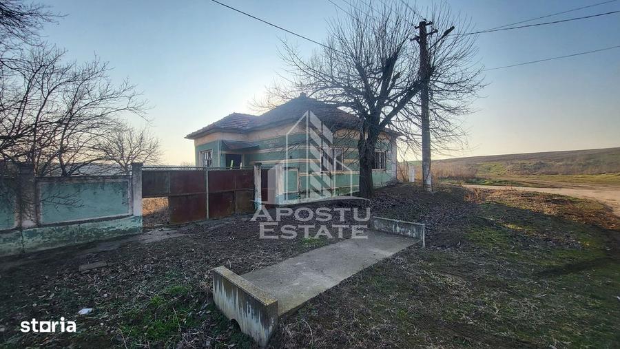 Spațiu comercial, în Pișchia