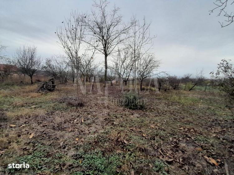 Teren intravilan pentru constructii de vanzare in Paleu, Oradea - 3