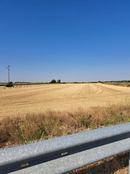 Teren agricol extravilan de 24298 mp, în Șagului