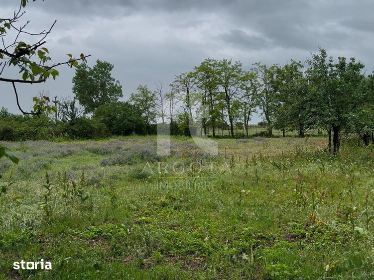 Casă cu 4 camere cu Teren 4075 Mp în Cotu Ciorii