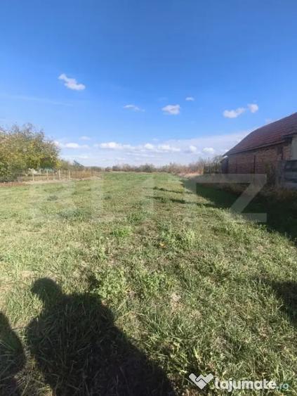 Teren în Războieni-Cetate