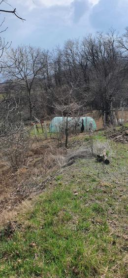 Teren de 1214 mp, în Dealul Malului