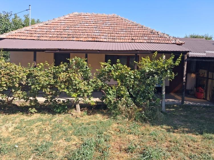 Casă individuală cu 2 camere cu Teren 1759 Mp în Central