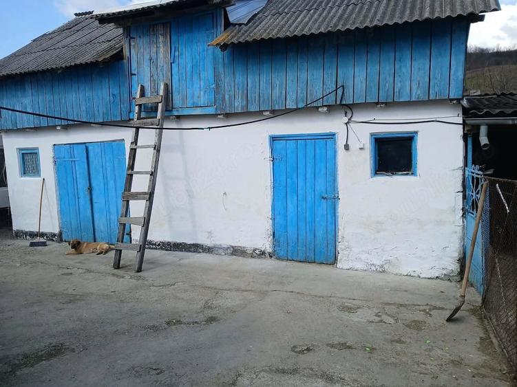 Casă cu Teren 1200 Mp în Central