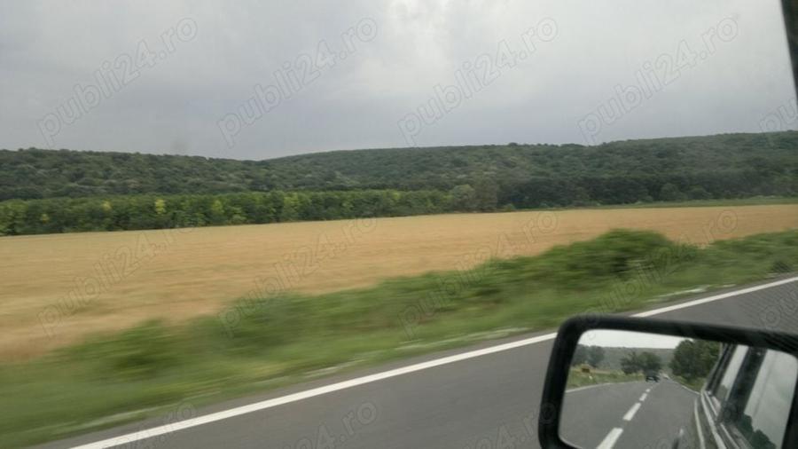 Teren de 1330 mp, în Răzoarele