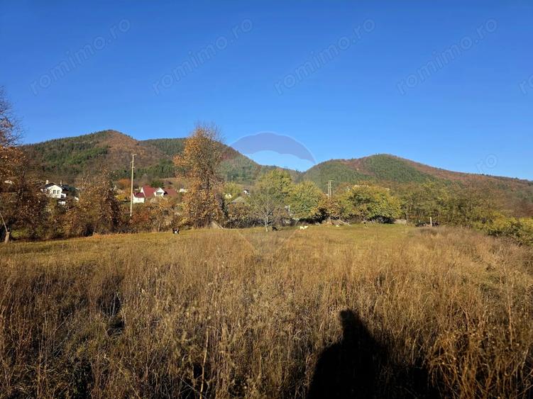 Teren de 6874 mp, în Alexandru cel Bun
