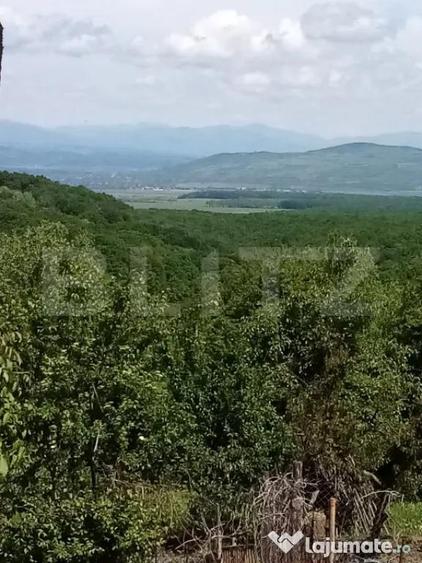 Casă cu 2 camere cu Teren 1700 Mp în Seciu
