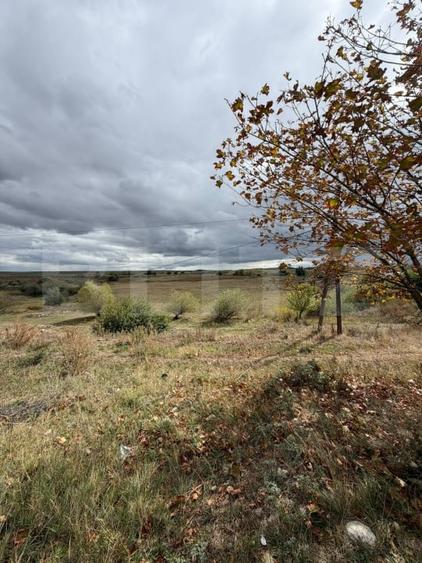 Teren Construcții intravilan de 6600 mp, în Cornești (Mihai Viteazu)