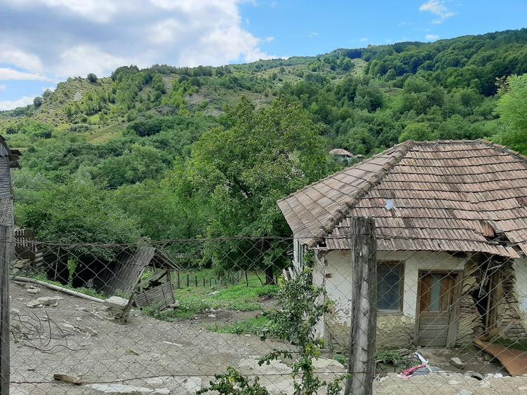Teren de 1262 mp, în Bâsca Chiojdului