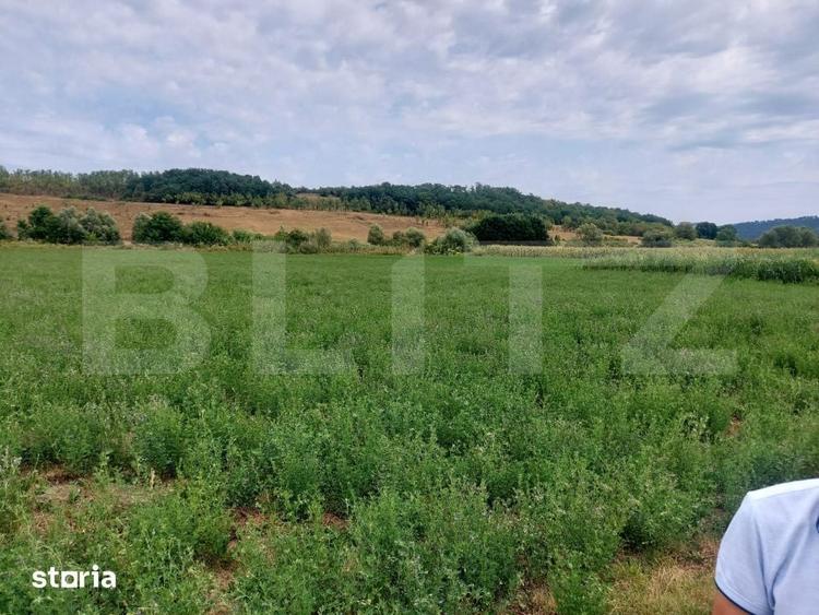 Teren de 27500 mp, în Iclod