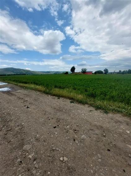 Teren agricol intravilan de 4800 mp, în Târgu Trotuș