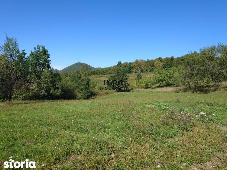 Teren de 8757 mp, în Luncoiu de Jos