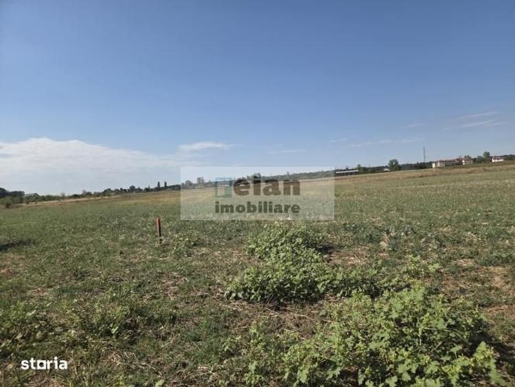 Ciolpani - Caro Events, Padure, 6800 mp, Padure, 58 ml deschidere - 5