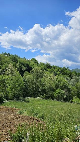 Casă cu 3 camere în Palazu Mare