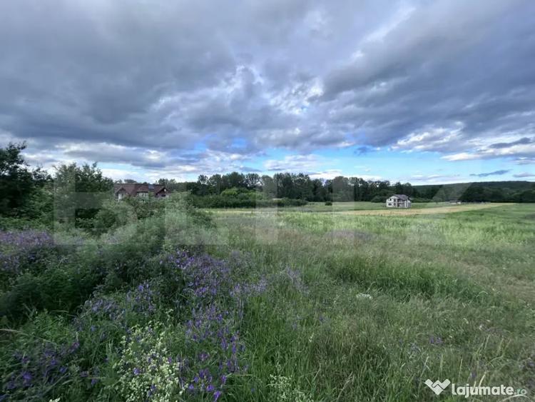Teren 5000 mp - zona Dealul Targului - 1