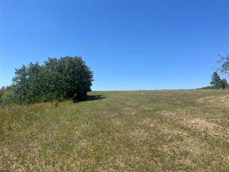Teren agricol extravilan de 21300 mp, în Lăzăreni