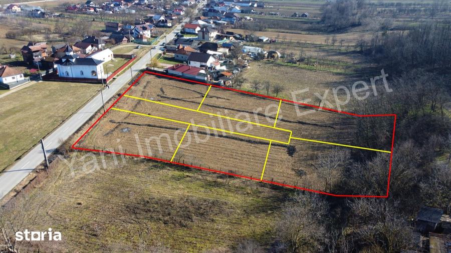 Teren de 5600 mp, în Băiculești