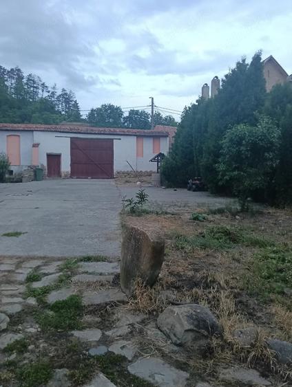 Casă cu Teren 1439 Mp în Saschiz