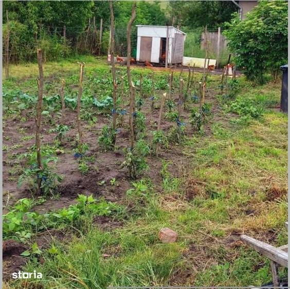 Oaza de liniste la 30 km de Cluj: Casa complet renovata cu gradina gen - 6