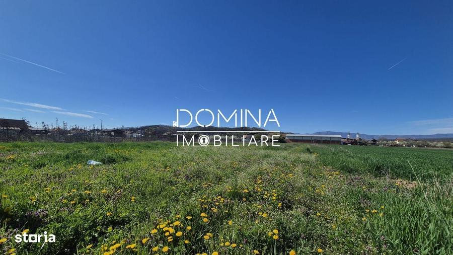Spațiu comercial, în Tămășești