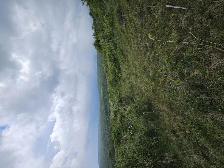 Teren de 2900 mp, în Corușu