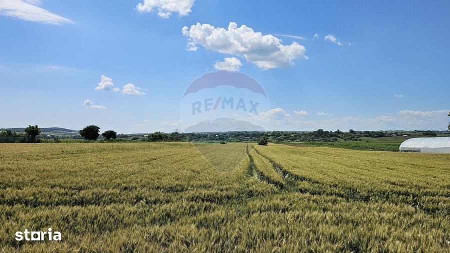 Teren de 15000 mp, în Central
