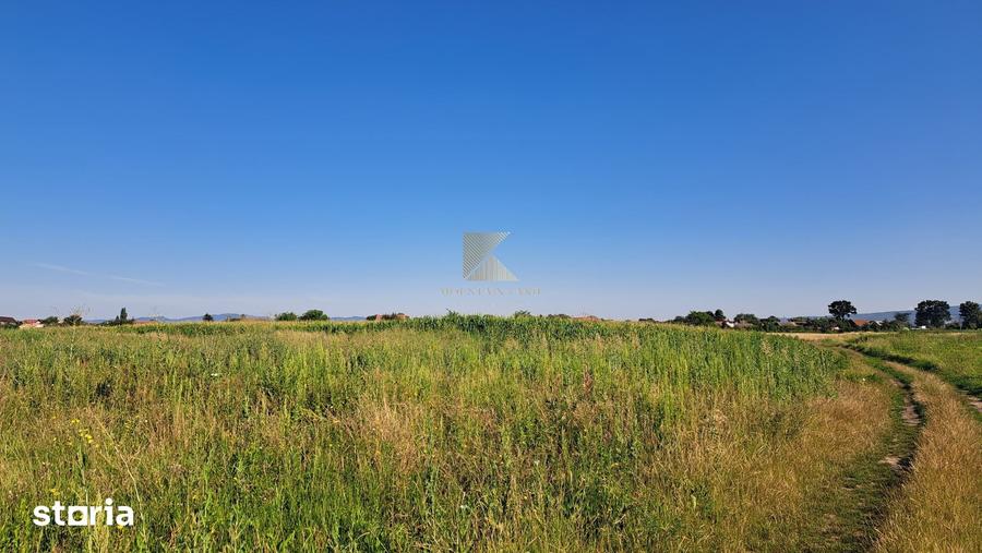 Teren de 20000 mp, în Bod
