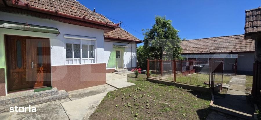 Proprietate cu 2 Case si Anexe, Teren 3.398 mp Deaj - 2