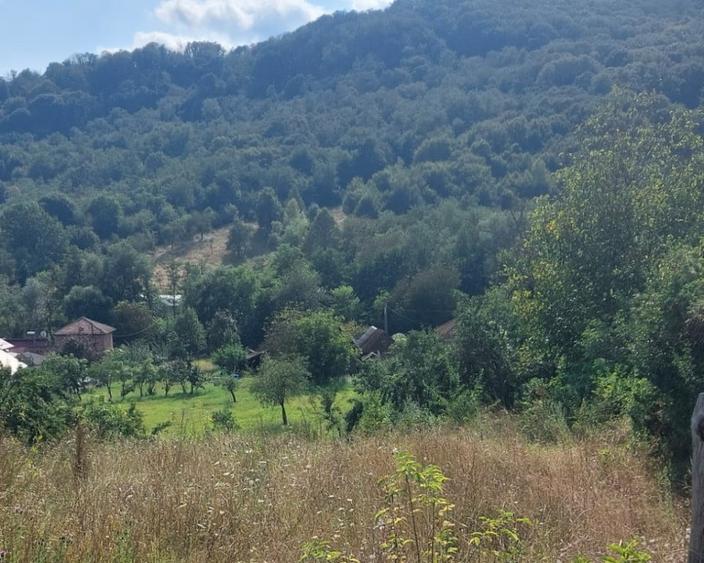 Teren de 1000 mp, în Mălureni