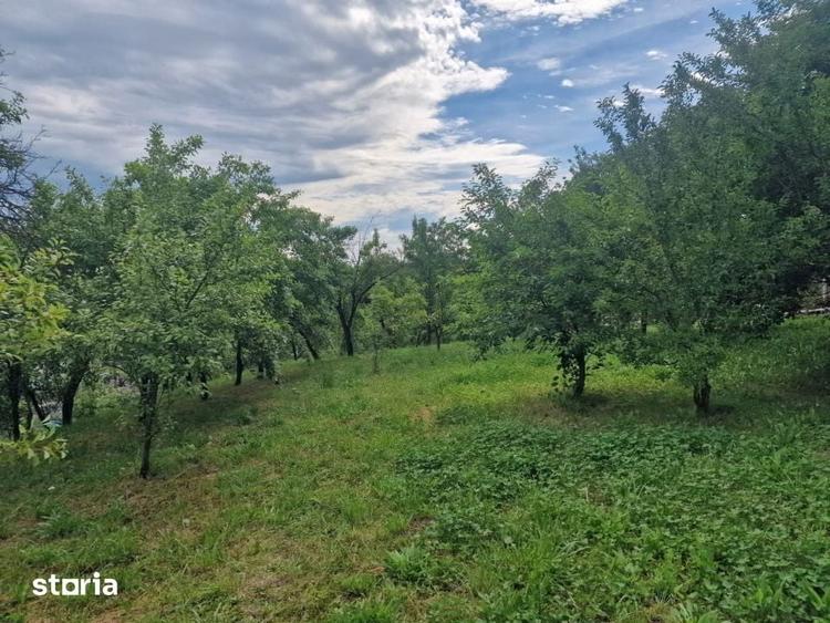 Teren de 1400 mp, în Albota