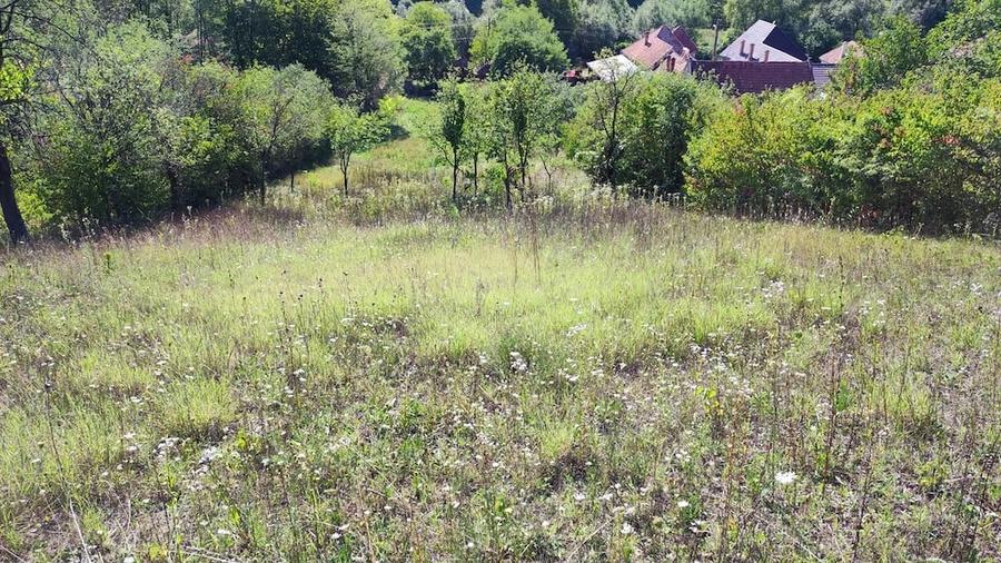 Teren de 2160 mp, în Șpring