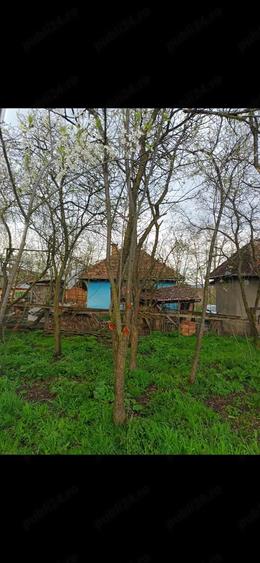 Casă cu 3 camere cu Teren 18000 Mp în Sâmboleni