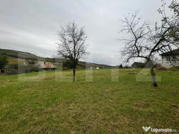 Doua case amplasate 3300 mp teren, Comuna Nimigea Tau - 16