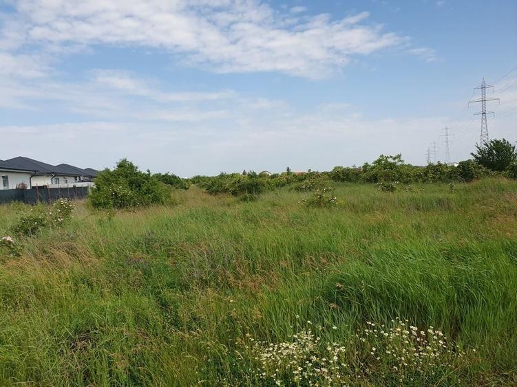 Teren intravilan Sabareni langa Bucuresti 4500 mp sau schimb - 2