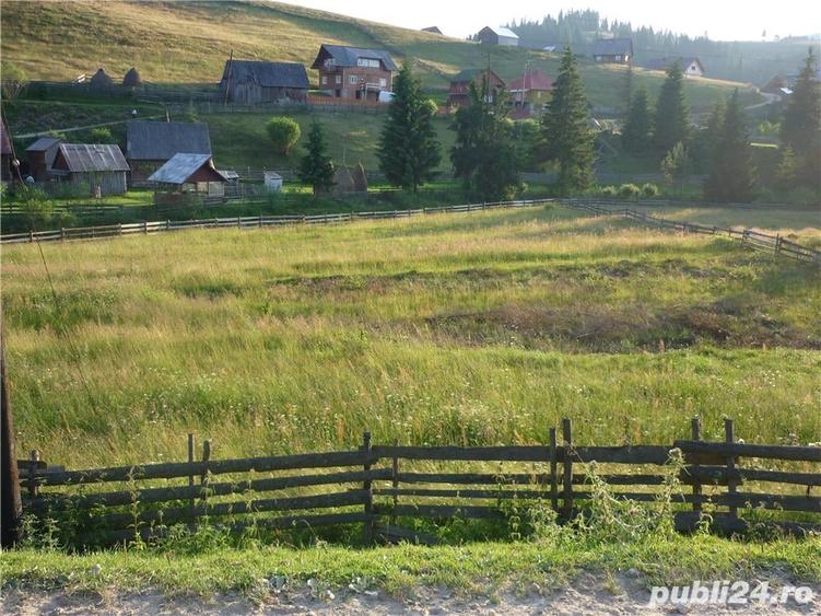Teren de 3000 mp, în Poiana Horea