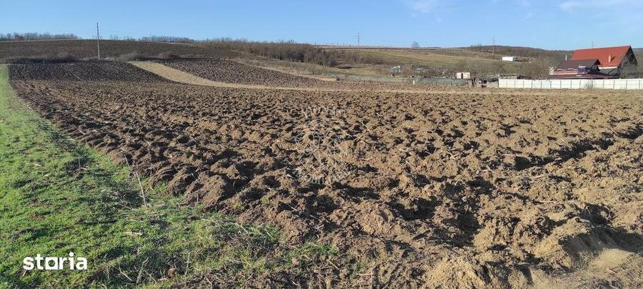 Teren de 7800 mp, în Iclod
