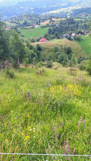 Teren de 7200 mp, în Măgura