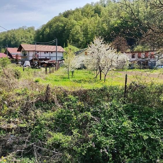 Teren de 745 mp, în Moneasa