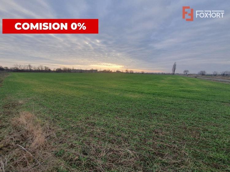 Teren agricol extravilan de 213257 mp, în Sud
