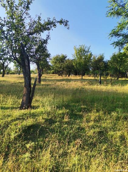Teren de 2700 mp, în Dobreni