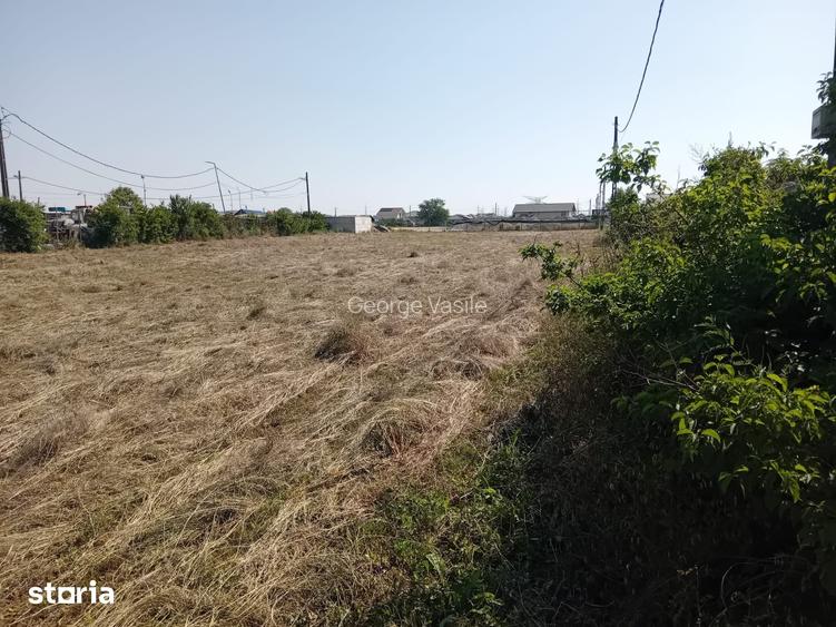 Teren Grigorescu / strada Apateului (de inchiriat / inchiriat)